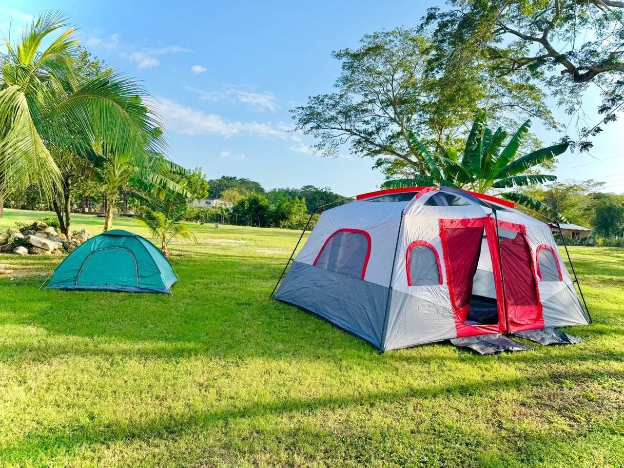 Camping tents on the open lawn